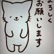 ヒメ日記 2024/12/15 09:19 投稿 千佳 ニューヨークニューヨーク