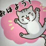 ヒメ日記 2025/01/31 07:50 投稿 千佳 ニューヨークニューヨーク