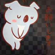 ヒメ日記 2025/02/02 10:30 投稿 千佳 ニューヨークニューヨーク