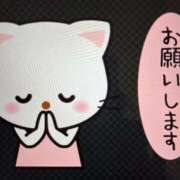 ヒメ日記 2025/02/09 09:05 投稿 千佳 ニューヨークニューヨーク