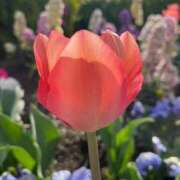 ヒメ日記 2025/04/06 08:26 投稿 千佳 ニューヨークニューヨーク