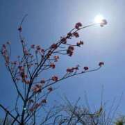 ヒメ日記 2025/05/02 23:02 投稿 千佳 ニューヨークニューヨーク