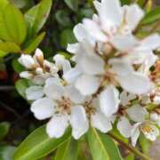 ヒメ日記 2025/05/04 08:11 投稿 千佳 ニューヨークニューヨーク