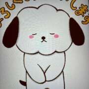 ヒメ日記 2026/02/20 09:14 投稿 千佳 ニューヨークニューヨーク