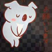 ヒメ日記 2026/03/06 13:41 投稿 千佳 ニューヨークニューヨーク