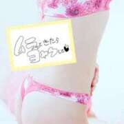 ヒメ日記 2025/02/25 12:00 投稿 あんな ブレザーぶれざー