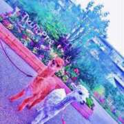 ヒメ日記 2025/05/06 18:16 投稿 千明 Minx（ミンクス）