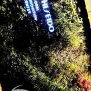 ヒメ日記 2025/10/23 19:28 投稿 千明 Minx（ミンクス）