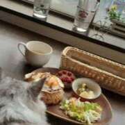 ヒメ日記 2026/02/14 12:19 投稿 千明 Minx（ミンクス）