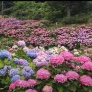 ヒメ日記 2025/06/10 06:27 投稿 るみ 北九州人妻倶楽部（三十路、四十路、五十路）