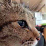 ヒメ日記 2025/06/18 22:06 投稿 るみ 北九州人妻倶楽部（三十路、四十路、五十路）