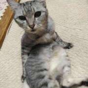 ヒメ日記 2025/07/08 06:54 投稿 るみ 北九州人妻倶楽部（三十路、四十路、五十路）