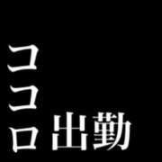 ヒメ日記 2024/02/17 09:00 投稿 ココロ マックス新宿店