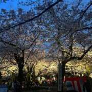 瀬戸まなみ いよいよ4月 断りきれない美人マッサージ嬢たち