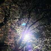 ヒメ日記 2025/04/05 06:24 投稿 奈々美（ななみ） ビッグバード