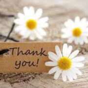 ヒメ日記 2025/04/16 13:55 投稿 奈々美（ななみ） ビッグバード