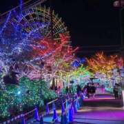 ヒメ日記 2025/11/08 18:04 投稿 奈々美（ななみ） ビッグバード