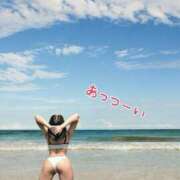 ヒメ日記 2025/08/31 20:00 投稿 海野ちか セレブショップ新宿（東京ハレ系）