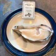 ヒメ日記 2025/10/18 08:02 投稿 海野ちか セレブショップ新宿（東京ハレ系）