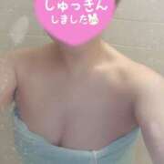 ヒメ日記 2025/04/04 10:26 投稿 岡田もも セレブショップ新宿（東京ハレ系）