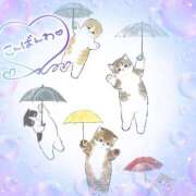 ヒメ日記 2025/04/23 23:53 投稿 岡田もも セレブショップ新宿（東京ハレ系）