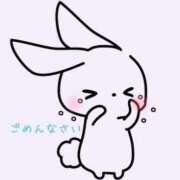 ヒメ日記 2025/04/25 07:05 投稿 岡田もも セレブショップ新宿（東京ハレ系）