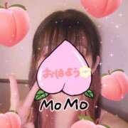 ヒメ日記 2025/05/23 10:04 投稿 岡田もも セレブショップ新宿（東京ハレ系）