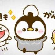 ヒメ日記 2025/06/03 00:08 投稿 岡田もも セレブショップ新宿（東京ハレ系）