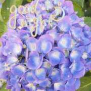 ヒメ日記 2025/06/14 23:59 投稿 岡田もも セレブショップ新宿（東京ハレ系）