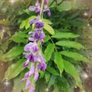 ヒメ日記 2025/07/15 23:08 投稿 岡田もも セレブショップ新宿（東京ハレ系）