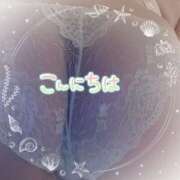 ヒメ日記 2025/08/14 11:57 投稿 岡田もも セレブショップ新宿（東京ハレ系）