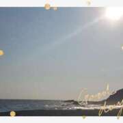 ヒメ日記 2025/08/19 23:45 投稿 岡田もも セレブショップ新宿（東京ハレ系）