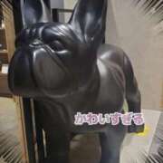 ヒメ日記 2025/11/04 09:51 投稿 岡田もも セレブショップ新宿（東京ハレ系）