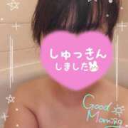 ヒメ日記 2025/11/10 10:36 投稿 岡田もも セレブショップ新宿（東京ハレ系）