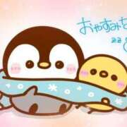 ヒメ日記 2025/12/03 00:17 投稿 岡田もも セレブショップ新宿（東京ハレ系）