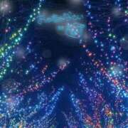 ヒメ日記 2025/12/19 00:09 投稿 岡田もも セレブショップ新宿（東京ハレ系）