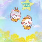 ヒメ日記 2026/01/05 00:48 投稿 岡田もも セレブショップ新宿（東京ハレ系）