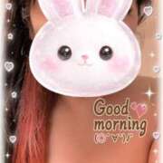 ヒメ日記 2026/02/02 10:24 投稿 岡田もも セレブショップ新宿（東京ハレ系）