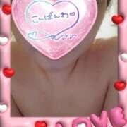 ヒメ日記 2026/02/10 00:03 投稿 岡田もも セレブショップ新宿（東京ハレ系）