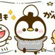 ヒメ日記 2026/02/16 23:34 投稿 岡田もも セレブショップ新宿（東京ハレ系）