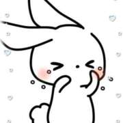 ヒメ日記 2026/02/20 08:18 投稿 岡田もも セレブショップ新宿（東京ハレ系）