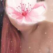 ヒメ日記 2026/03/30 11:17 投稿 岡田もも セレブショップ新宿（東京ハレ系）