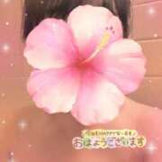 ヒメ日記 2026/08/20 10:19 投稿 岡田もも セレブショップ新宿（東京ハレ系）