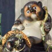 ヒメ日記 2024/12/14 20:45 投稿 斉藤恵 セレブショップ新宿（東京ハレ系）