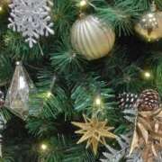 ヒメ日記 2024/12/16 11:15 投稿 斉藤恵 セレブショップ新宿（東京ハレ系）