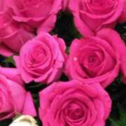 ヒメ日記 2024/12/18 07:15 投稿 斉藤恵 セレブショップ新宿（東京ハレ系）