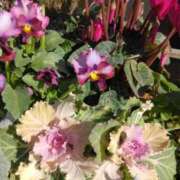 ヒメ日記 2024/12/18 19:45 投稿 斉藤恵 セレブショップ新宿（東京ハレ系）