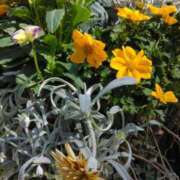 ヒメ日記 2024/12/19 10:38 投稿 斉藤恵 セレブショップ新宿（東京ハレ系）