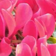 ヒメ日記 2024/12/19 20:28 投稿 斉藤恵 セレブショップ新宿（東京ハレ系）