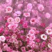 ヒメ日記 2024/12/23 16:39 投稿 斉藤恵 セレブショップ新宿（東京ハレ系）